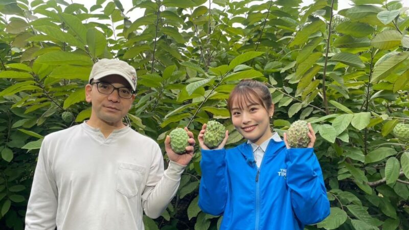 TBSテレビの朝の情報番組「THE TIME,」の列島リアルタイム中継