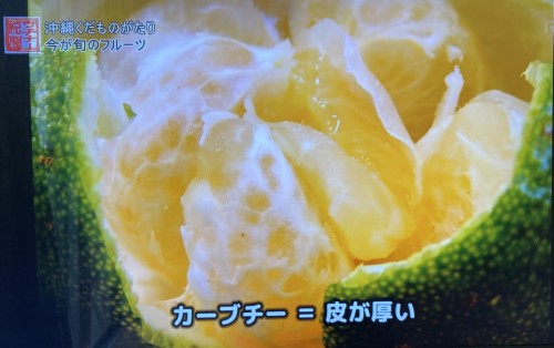 沖縄在来柑橘カーブチーの果実｜香りが特徴の冬の果物