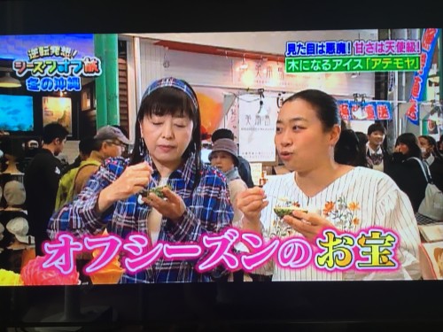 日本テレビ逆転発想シーズンオフ旅で紹介されたアテモヤの番組シーン