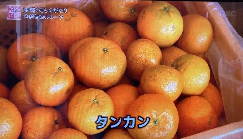 沖縄で人気の柑橘タンカン｜甘みが強い冬の果物