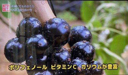 ジャボチカバの果実アップ｜ポリフェノールやビタミンCを含む果物