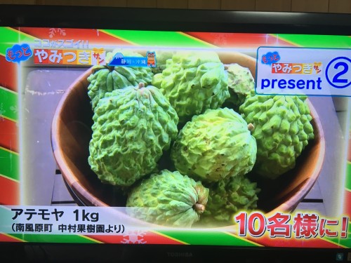 テレビ番組の視聴者プレゼントとして紹介された中村果樹園のアテモヤ