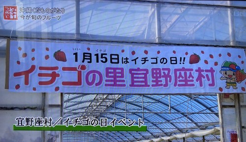 宜野座村のいちご栽培紹介｜沖縄で楽しめるいちご狩り