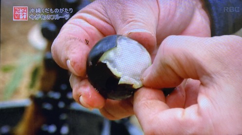 ジャボチカバの果実の皮を剝いた様子｜沖縄で楽しめる珍しい果物