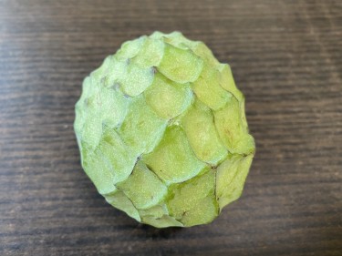 沖縄産アテモヤの実物写真・ゴツゴツした外観の特徴