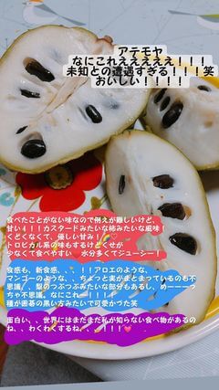 初めてアテモヤを食べた感想・濃厚な甘さと食感のレポート