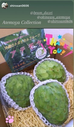 沖縄産アテモヤが自宅に届いた時の様子・新鮮な果実の状態