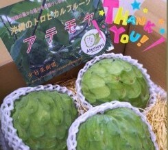 アテモヤ応援キャンペーン当選者の感想まとめ