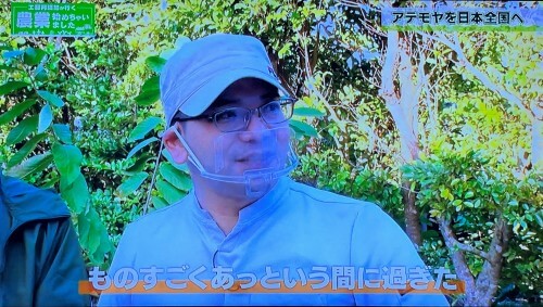 アテモヤ栽培の11年は短く感じたと語る中村