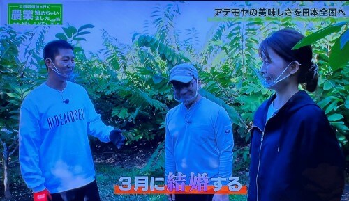 アテモヤ農家の婚約者の登場