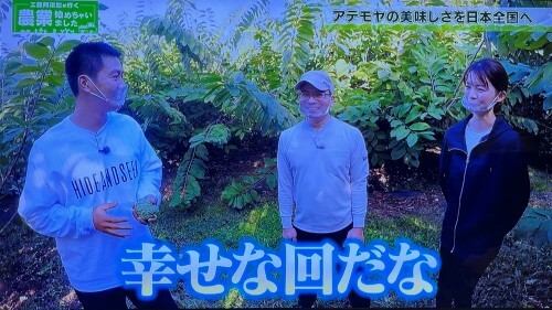 アテモヤ農家の婚約についての工藤阿須賀のコメント