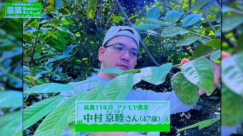 アテモヤ農家の中村