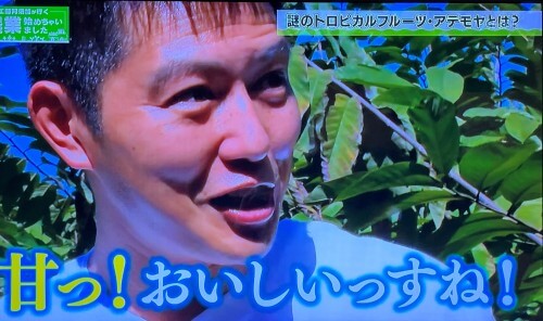 初めてアテモヤを試食する工藤阿須加さんの様子