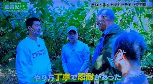 息子の農業への姿勢を評価する父親のインタビューシーン