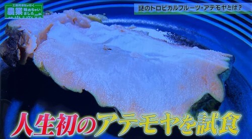 初めて生のアテモヤを試食する工藤阿須加さんの様子