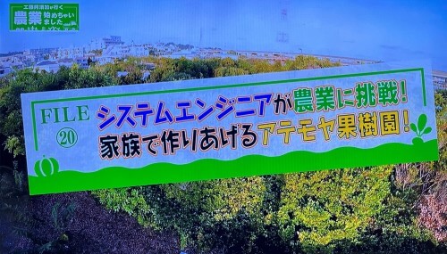 BS朝日「工藤阿須加が行く 農業始めちゃいました」に登場した中村果樹園のアテモヤ紹介画面
