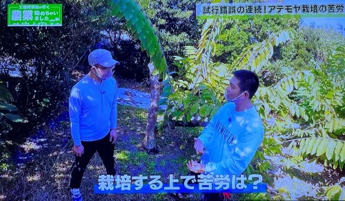 アテモヤを栽培する上での課題について語る中村