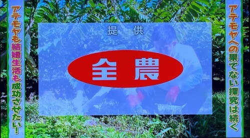 工藤阿須賀の農業始めちゃいましたのエンディング画面