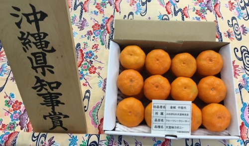花と食のフェスティバル2018果樹品評会で展示されたフルーツシークヮーサー