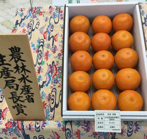 花と食のフェスティバル2018果樹品評会で展示された沖縄県産タンカン