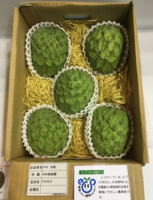 花と食のフェスティバル2019に出品した沖縄県産アフリカンプライド品種のアテモヤ