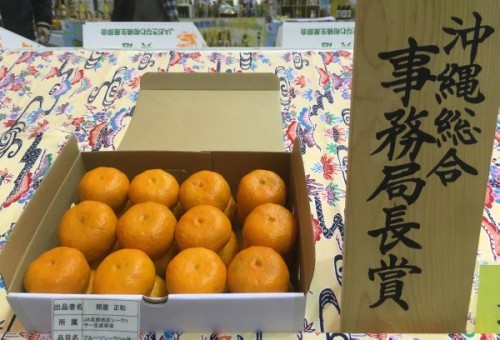 花と食のフェスティバル2019果樹品評会で展示されたフルーツシークヮーサー
