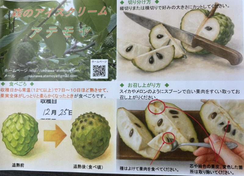 アテモヤの収穫日や食べ方を記載したチラシ