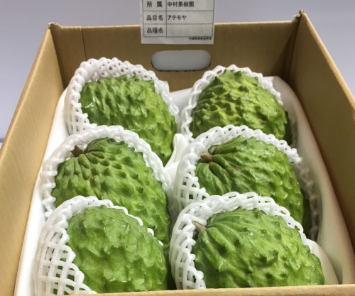 花と食のフェスティバル2017で優良賞を受賞した中村果樹園の沖縄県産アテモヤ
