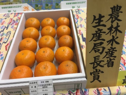 花と食のフェスティバル2019果樹品評会で展示された沖縄県産タンカン